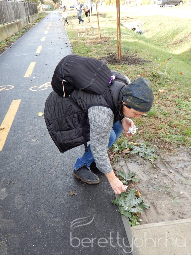 Közösségi faültetés Berettyóújfaluban 57